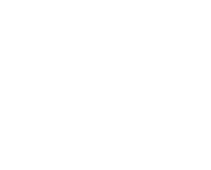 Logo der BSJ