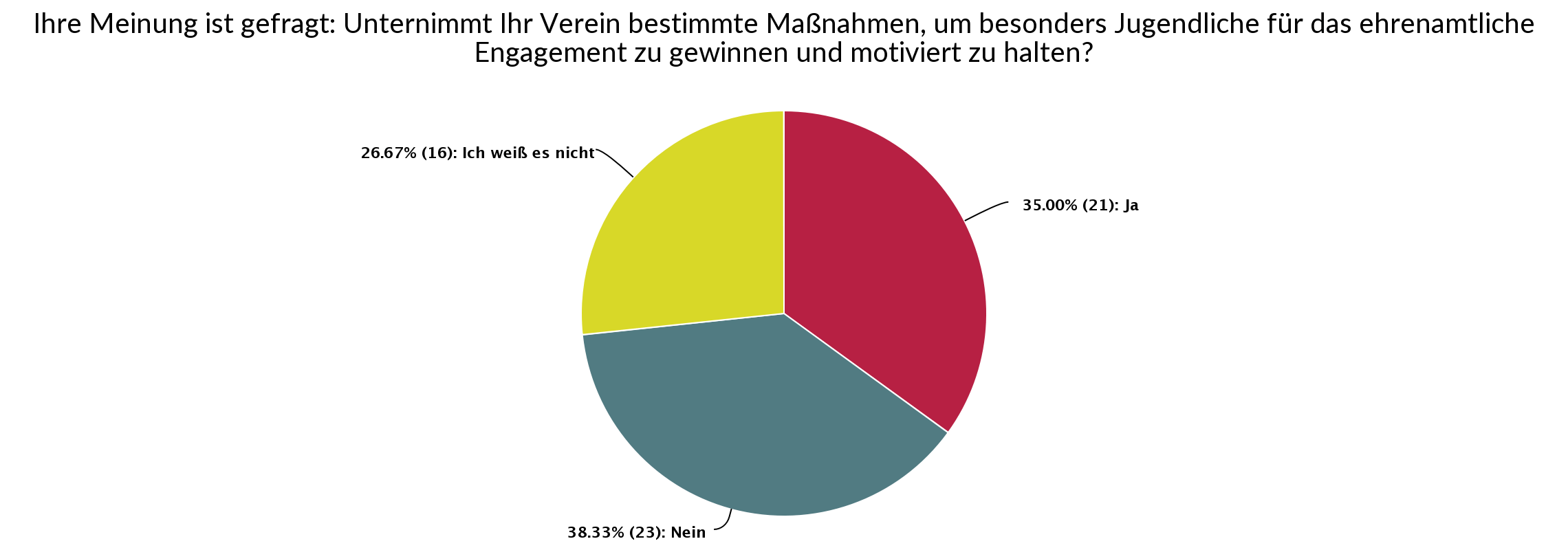Statistik - Unternimmt Ihr Verein bestimmte Maßnahmen, um besonders Jugendliche für das ehrenamtliche Engagement zu gewinnen und motiviert zu halten