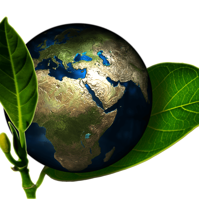 Ein Globus wird von zwei Blättern gehalten