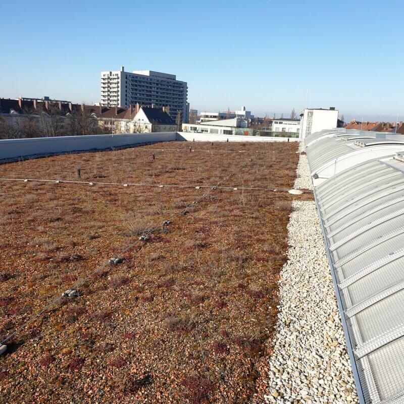 Dach von einem Gebäude. Rechts sind Dachfenster zu sehen, links ist das Dach mit Kies bedeckt