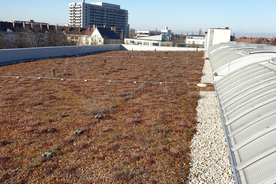 Dach von einem Gebäude. Rechts sind Dachfenster zu sehen, links ist das Dach mit Kies bedeckt