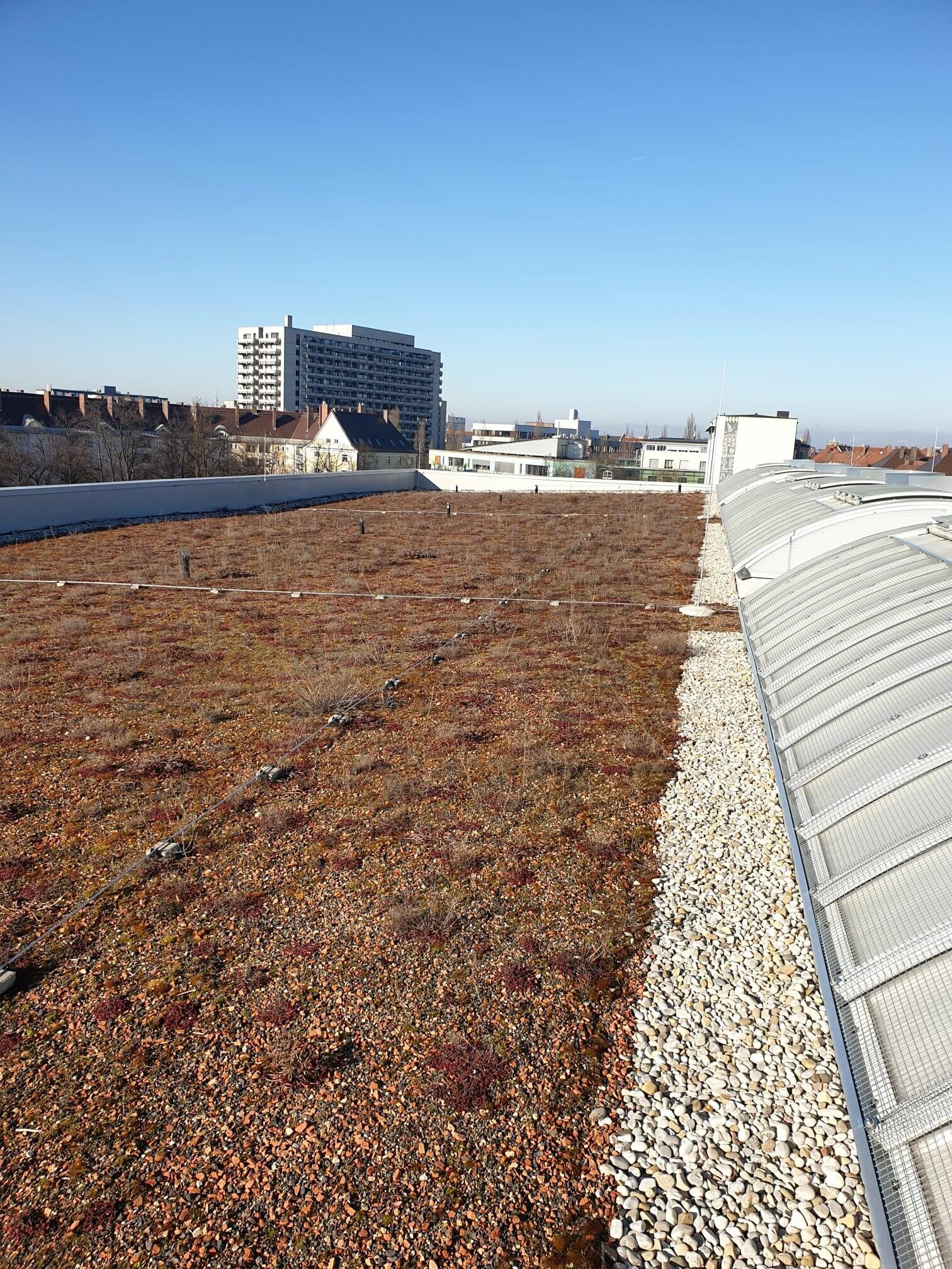 Dach von einem Gebäude. Rechts sind Dachfenster zu sehen, links ist das Dach mit Kies bedeckt