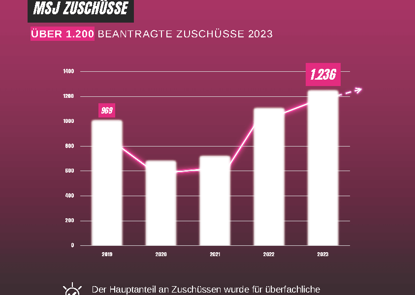 Statistik MSJ-Zuschüsse